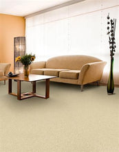 Load image into Gallery viewer, Soft &amp; Silky|Volcanic|4699-36056 - Sample