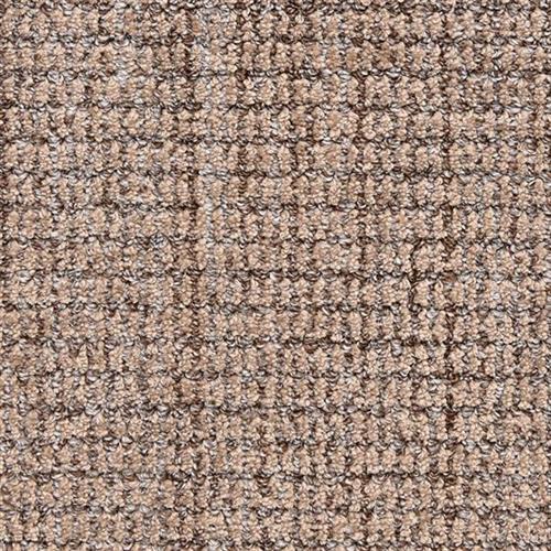 Aspen|Mocha|540AS-888AS - Sample
