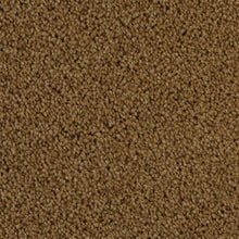 Load image into Gallery viewer, Cozy|Rawhide|5471-25210 - Sample