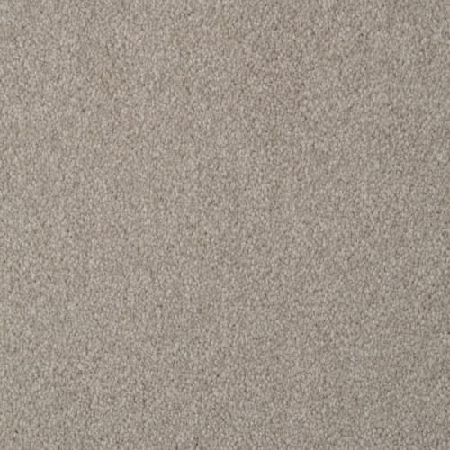 Amore |Driftwood|5907-21238 - Sample