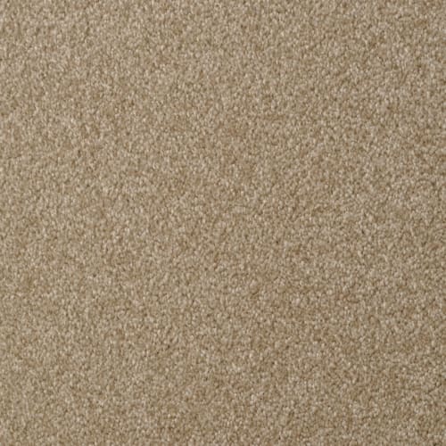 Amore |Taffy|5907-25200 - Sample