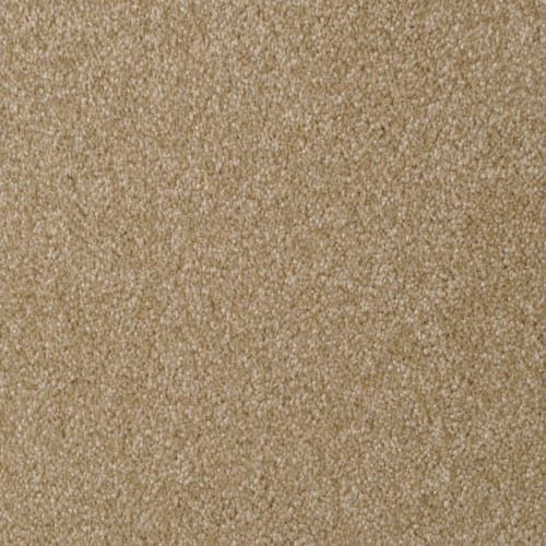 Amore |Rawhide|5907-25210 - Sample