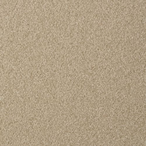 Amore |Suede|5907-25220 - Sample