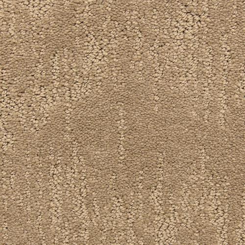 Bold Step|Canyon|6448-32249 - Sample