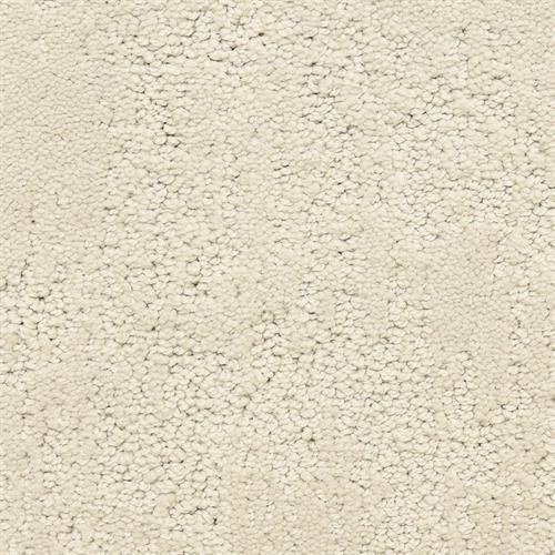 Attributes|Powder|6064-82244 - Sample