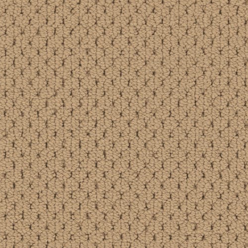 Adulation|Corvo|610AD-198AD - Sample