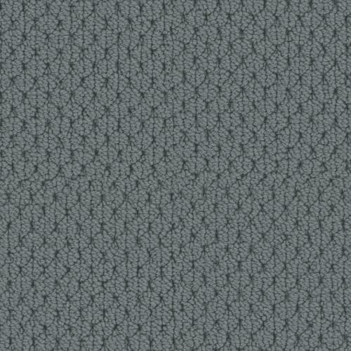 Adulation|Cortina|610AD-576AD - Sample