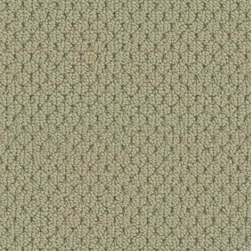 Adulation|Carmel|610AD-641AD - Sample