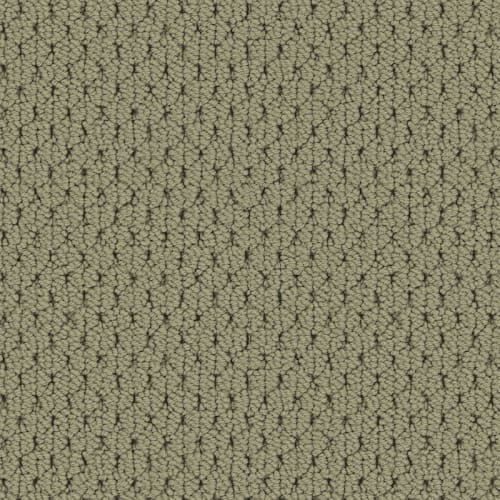 Adulation|Caprice|610AD-671AD - Sample