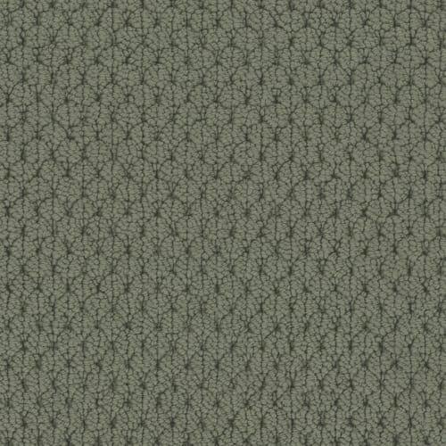 Adulation|Dolce|610AD-686AD - Sample