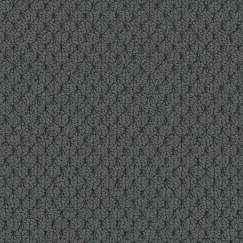 Adulation|Delmar|610AD-695AD - Sample