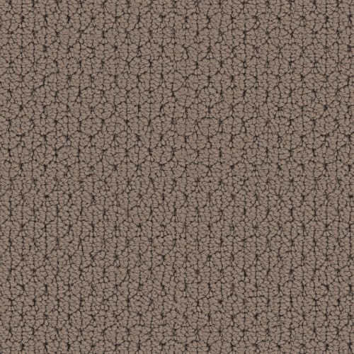 Adulation|Chenille|610AD-898AD - Sample