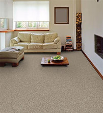 Load image into Gallery viewer, Brilliance|Cabin Fever|6304-77527 - Sample
