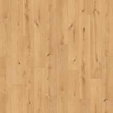 Load image into Gallery viewer, Ceramin - Icon|Hollyburn|63339 - Sample