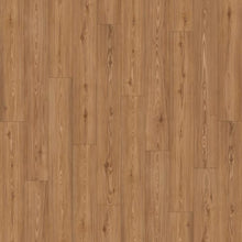Load image into Gallery viewer, Ceramin - Icon|Beasley|63341 - Sample