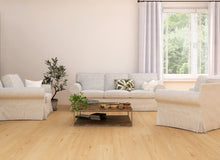 Load image into Gallery viewer, Ceramin - Icon|Brookeswood|63342 - Sample
