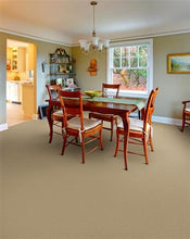 Load image into Gallery viewer, Millport|Cameo|6543 - Sample
