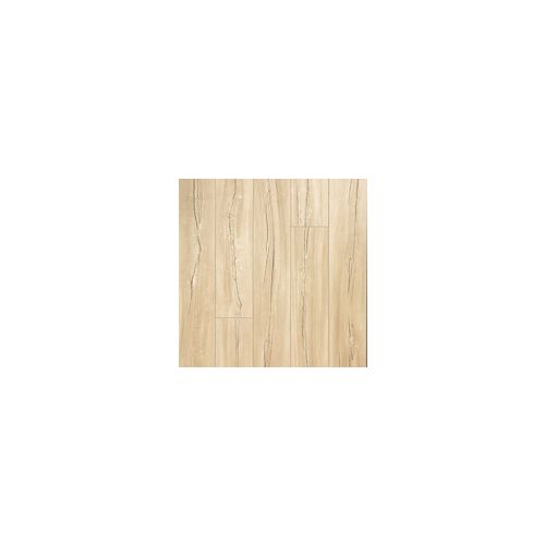 Barbour|Ellsworth|BBR01-253 - Sample