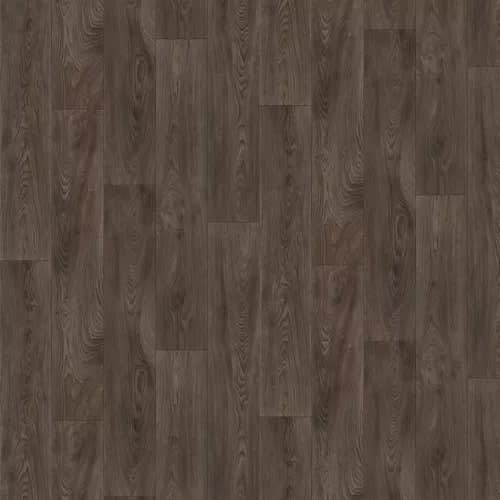 Anders Point|Roadted Mocha|AP002-858 - Sample