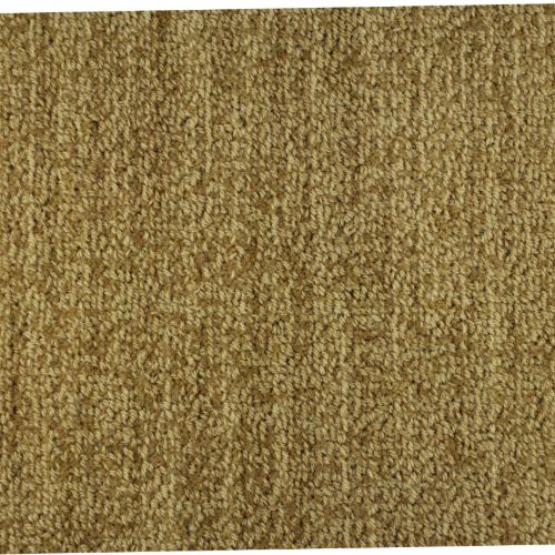 Bellini|Cedro|9221-647 - Sample