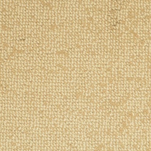 Batavia|Seedling|9285-474 - Sample