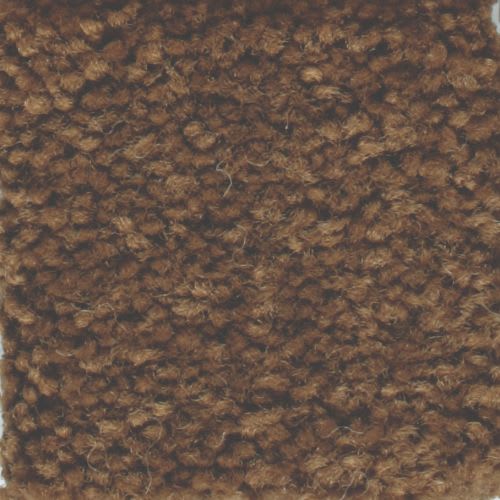Americana|Coati|9439-965 - Sample