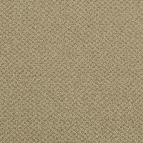 Argonne|Plaster|9440Z-568 - Sample
