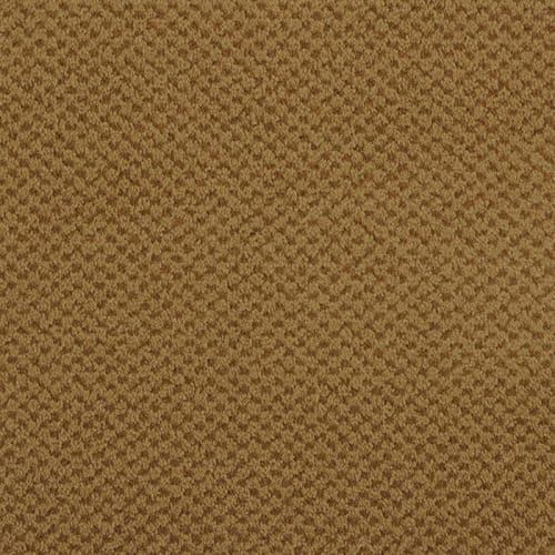 Argonne|Raw Sienna|9440Z-621 - Sample