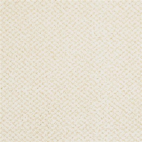 Montauk|Barnacle|9479-079 - Sample