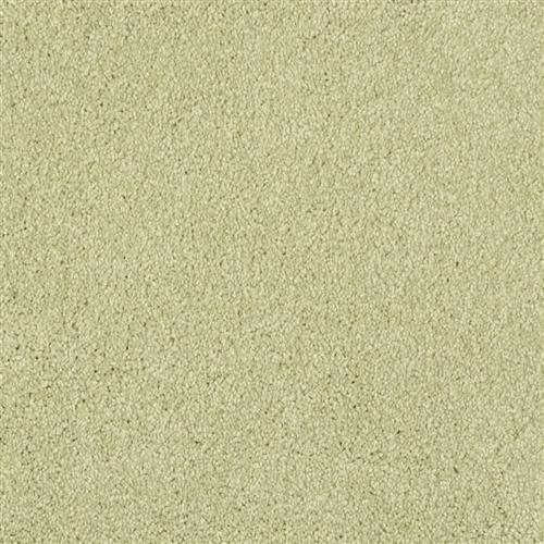 Oceanside|Springhill|9495-735 - Sample