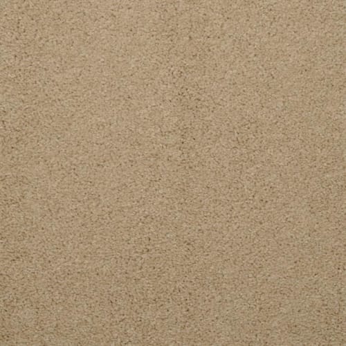 Allegria|Husk|9501Z-209 - Sample