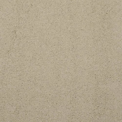 Allegria|Coriander|9501Z-238 - Sample