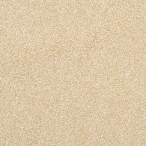 Beacon Hill|Dijon|9527-191 - Sample