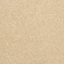 Load image into Gallery viewer, Beacon Hill|Biscotti|9527-244 - Sample