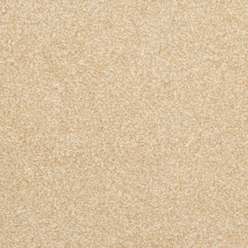 Beacon Hill|Biscotti|9527-244 - Sample