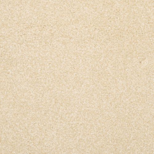 Beacon Hill|Beigeful|9527-267 - Sample