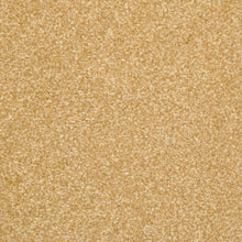 Load image into Gallery viewer, Beacon Hill|Somerset|9527-340 - Sample