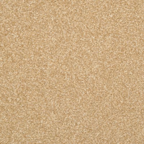 Beacon Hill|Cashew|9527-346 - Sample