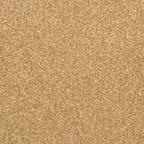 Beacon Hill|Tundra|9527-359 - Sample