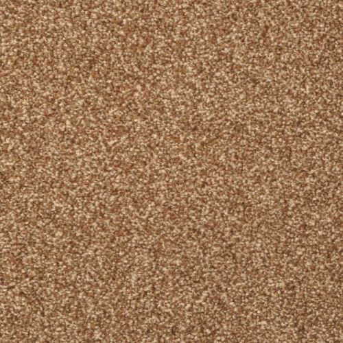 Beacon Hill|Walnut|9527-753 - Sample