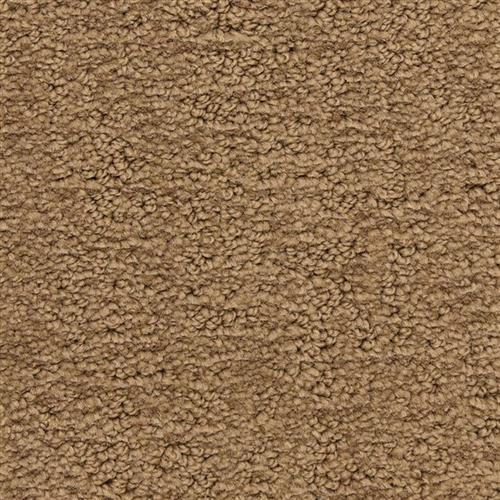 Santa Barbara|Oak Park|9590-713 - Sample