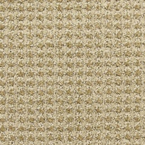 Alpha|Volts|9599-136 - Sample