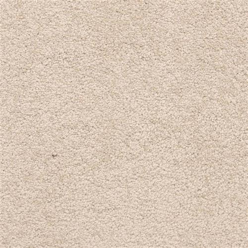 Knockout|Canvas|9615-258 - Sample