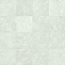 Load image into Gallery viewer, Stratamax Pro Pacific Stone|Pearl 12'|ASP17401 - Sample