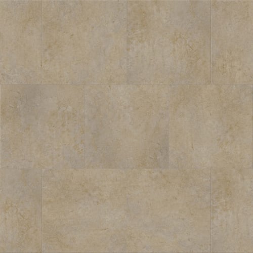 Attraxion - Attraxion With Déjà New|Clay|DN123809ATX - Sample