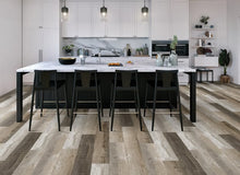 Load image into Gallery viewer, Attraxion - Attraxion With Déjà New|Greyed|DN821826ATX - Sample