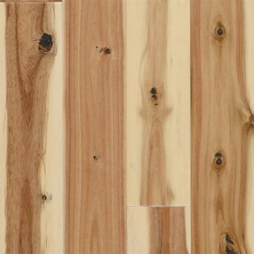 Asian Walnut|Natural|ONIT345SA10NA - Sample