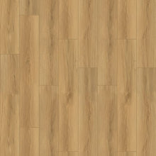 Load image into Gallery viewer, Fusion Design XL|Acadia|24494 - Sample