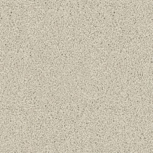 Adore|Antique White|D107-72103 - Sample