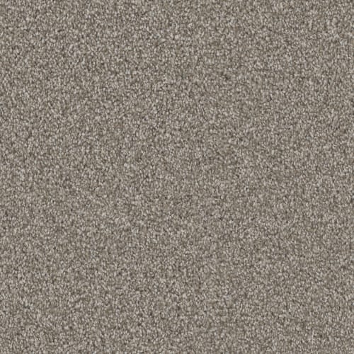 Adore|Bison|D107-88812 - Sample